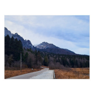 Poster Paysage Scénique de la Route Forestière Nature Sau