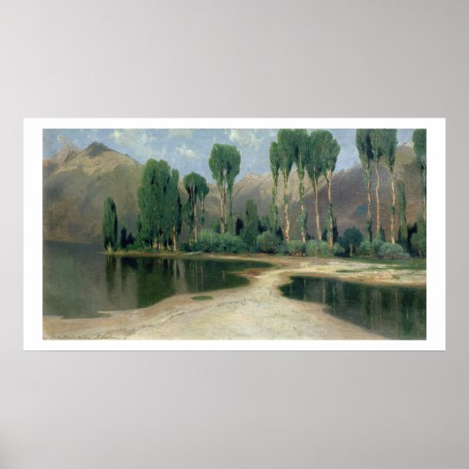 Poster Paysage suisse (Devant)