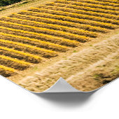 Poster Paysage sur Orvieto (Coin)