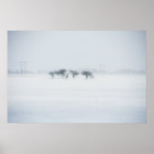 Poster Paysage tempête d'hiver (Devant)
