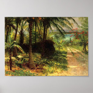 Poster Paysage tropical