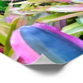 Poster Paysage tropical (Coin)