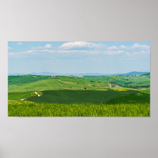 Poster Paysage typique de Toscane (Devant)