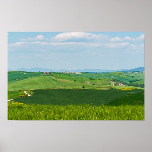 Poster Paysage typique de Toscane (Devant)