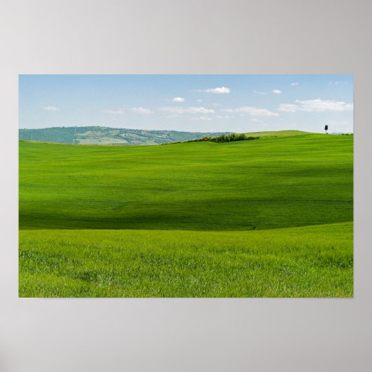 Poster Paysage typique de Toscane (Devant)
