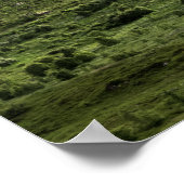 Poster Paysage vert Lofoten (Coin)
