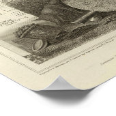 Poster Paysages (Coin)