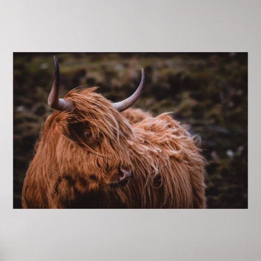 POSTER PAYSAGES DRAMATIQUES ET HUMIDES INSPIRÉS PAR L'NAT (Devant)