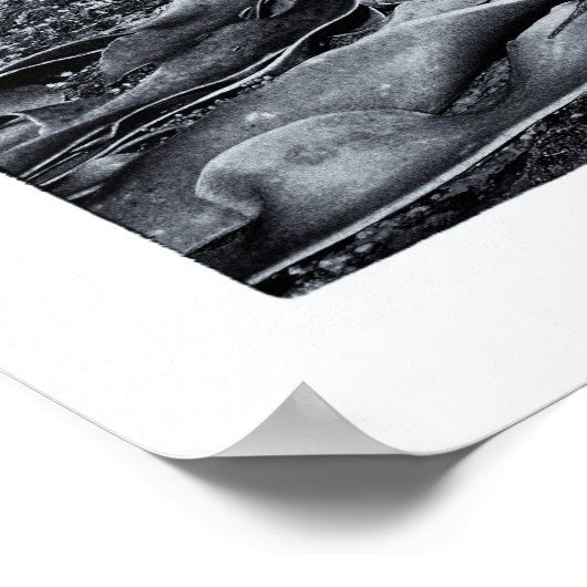 Poster Paysages Nouvelle-Zélande - Curio Bay (Coin)