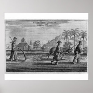 Poster Paysans chinois, une description générale d'un