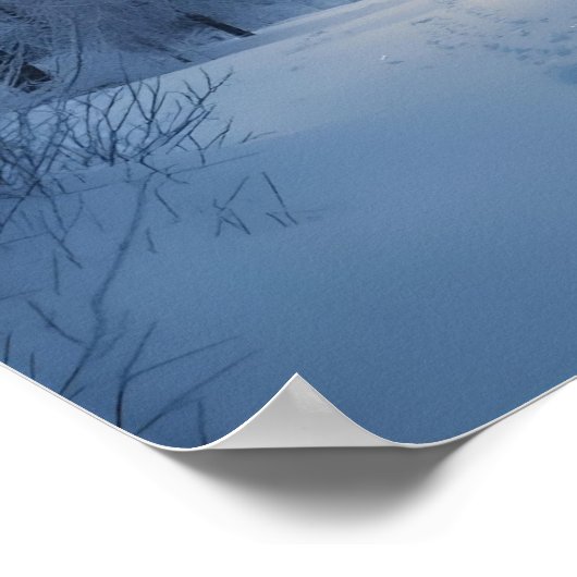 Poster Peace Grows in Cold Places – Winter Calm Art Print (Coin)