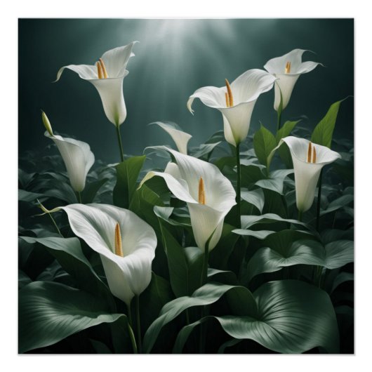 Poster peace lilies (Devant)
