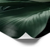 Poster peace lilies (Coin)