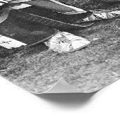 Poster Peace Pipe : 1905 (Coin)