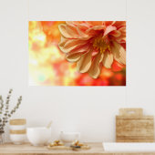 Poster Peach Dahlia Haze (Cuisine)