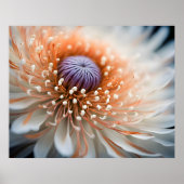 Poster Peach Dalia (Devant)