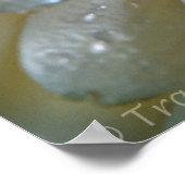 Poster Peach Gerbera (Coin)