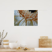 Poster Peach Gerbera (Cuisine)