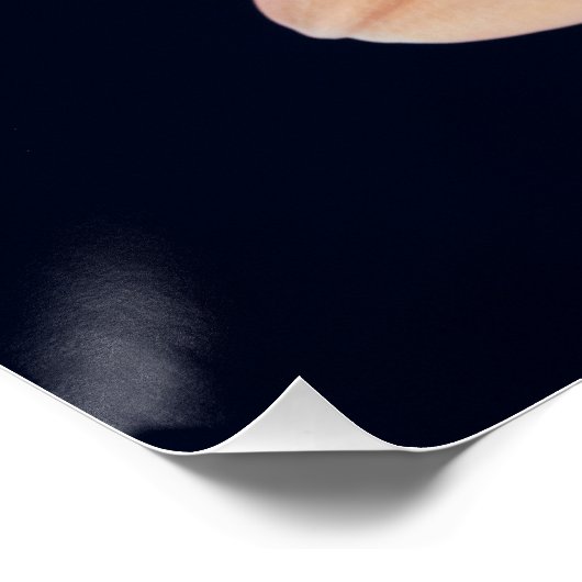 Poster Peach Gerbera (Coin)