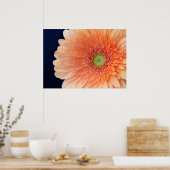 Poster Peach Gerbera (Cuisine)
