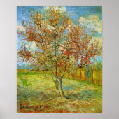 Poster Peach Tree rose en fleurs par Vincent van Gogh (Devant)