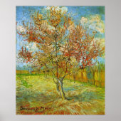 Poster Peach Tree rose en fleurs par Vincent van Gogh (Devant)