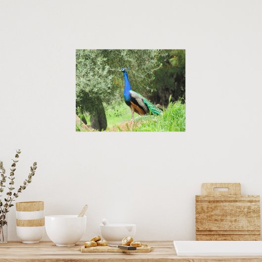 Poster - Peacock (Cuisine)
