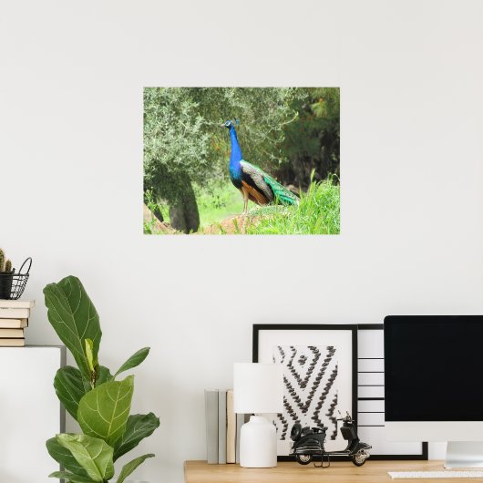 Poster - Peacock (Bureau à domicile)