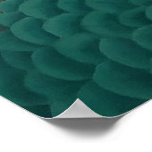 Poster Peacock (Coin)