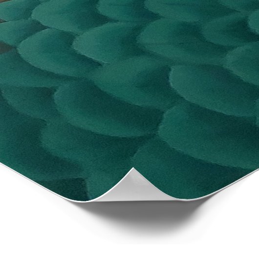 Poster Peacock (Coin)