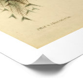 Poster Peacock (Hoek)