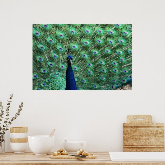 Poster Peacock (Cuisine)