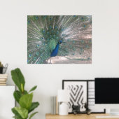 Poster Peacock (Bureau à domicile)