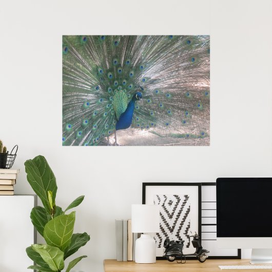 Poster Peacock (Bureau à domicile)