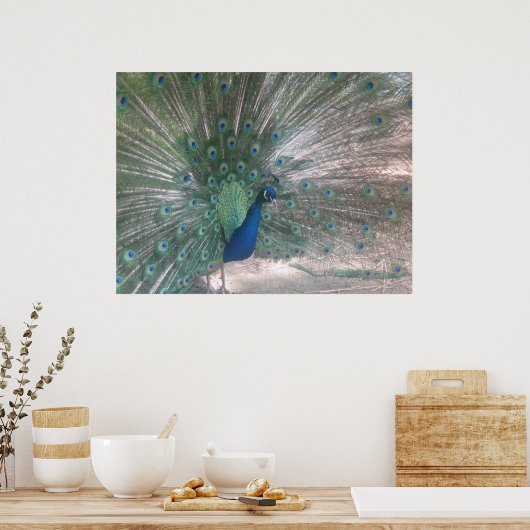 Poster Peacock (Cuisine)