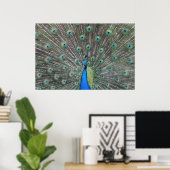 Poster Peacock (Bureau à domicile)