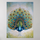Poster Peacock (Devant)