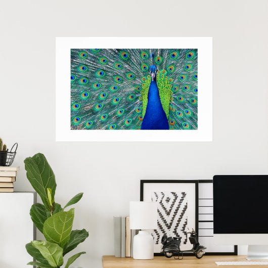 Poster Peacock#3 (Bureau à domicile)