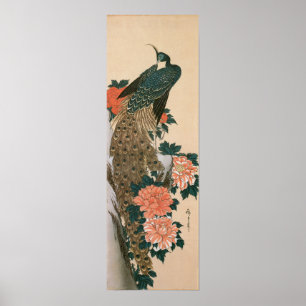 Poster Peacock and Peonies de Hiroshige, Art japonais