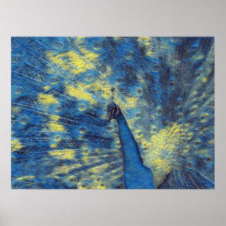 Poster Peacock Artwork in Van Gogh Starry Night Colonnes