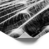 Poster Peacock blanc (Coin)