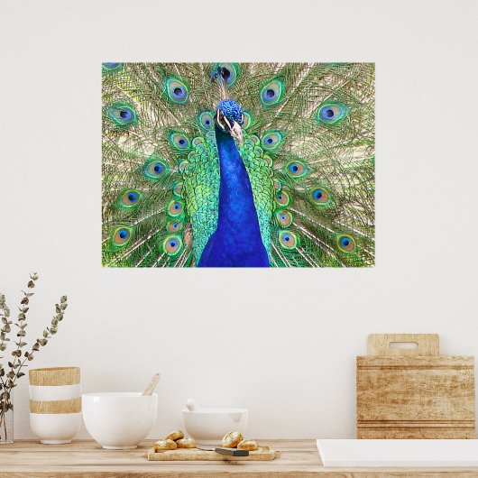 Poster Peacock bleu (Cuisine)