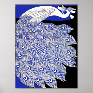 Poster Peacock bleu