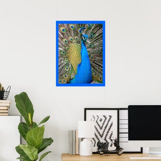 Poster Peacock bleu (Bureau à domicile)