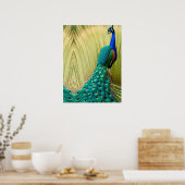 Poster Peacock bleu dans l'herbe (Cuisine)