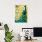 Poster Peacock bleu dans l'herbe (Bureau à domicile)