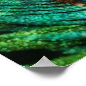 Poster Peacock coloré (Coin)