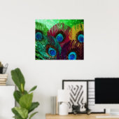 Poster Peacock coloré (Bureau à domicile)