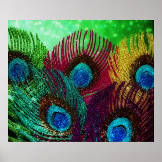Poster Peacock coloré (Devant)