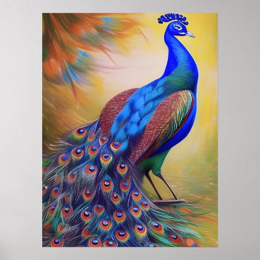 Poster Peacock coloré (Devant)